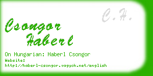 csongor haberl business card